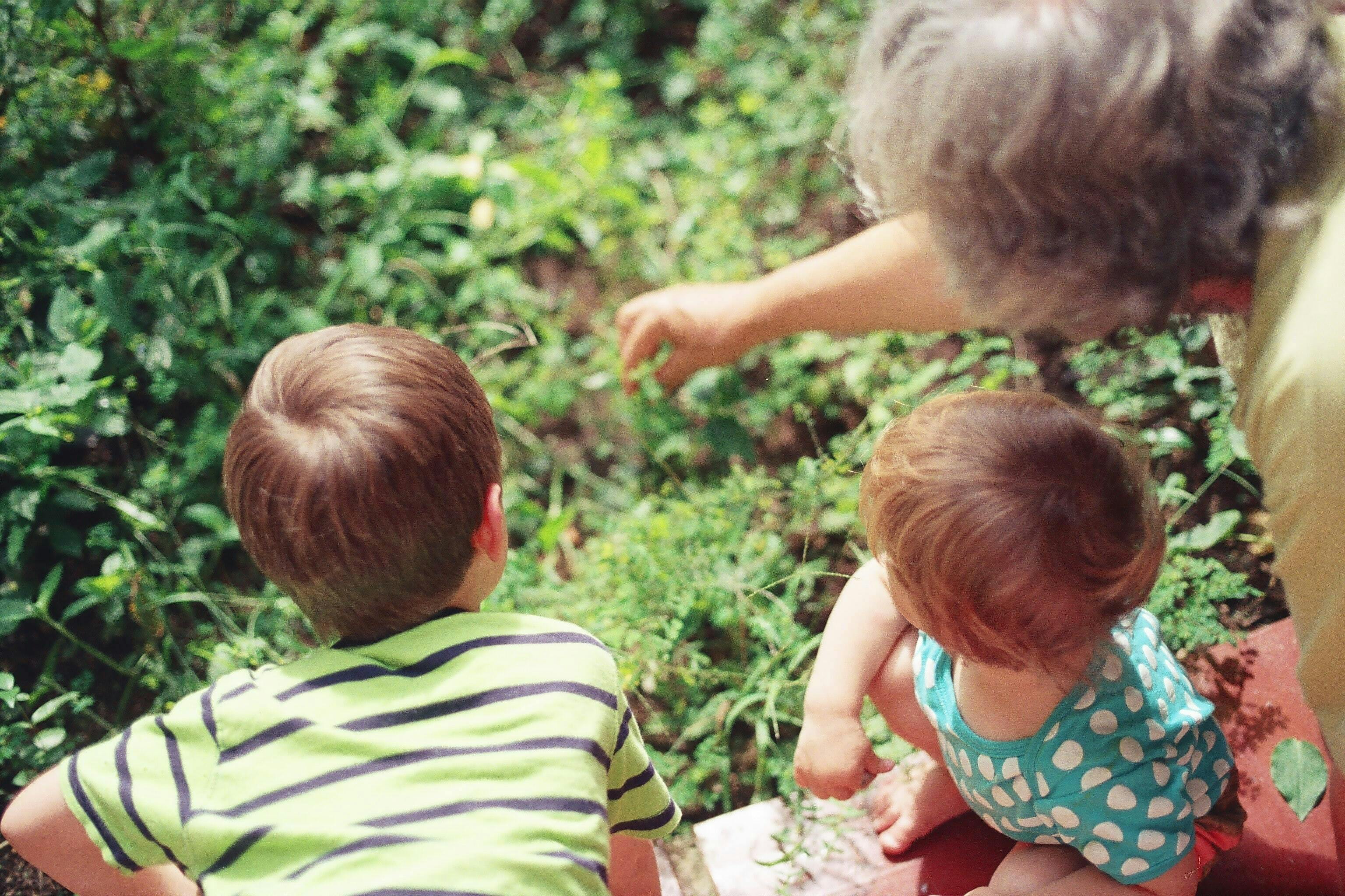 Zwei Kinder und eine Erwachsene beim Blumen pflanzen im Garten.